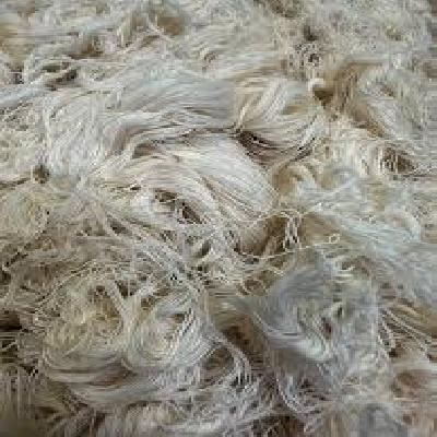 Cotton Yarn Waste