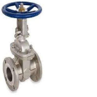 SS Gate Valve