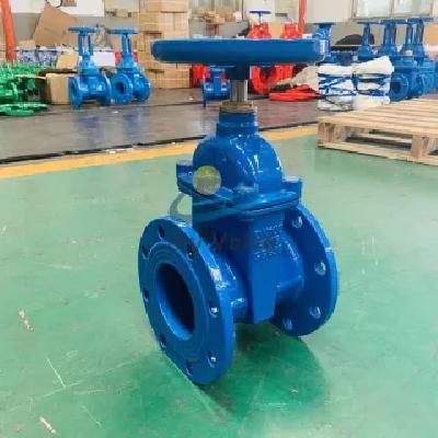 Gate Valve