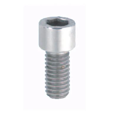 Socket Head Cap Screw