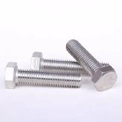 Stainless Steel Hex Bolt