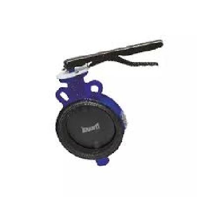 Kranti Butterfly Valve