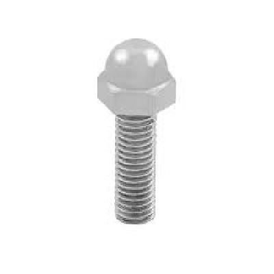SS Dome Bolts