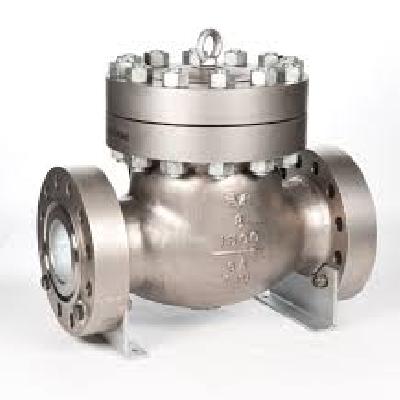 Swing Check Valve