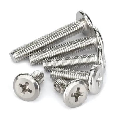 SS Screw