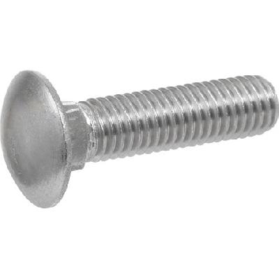 Stainless Steel Carriage Bolt