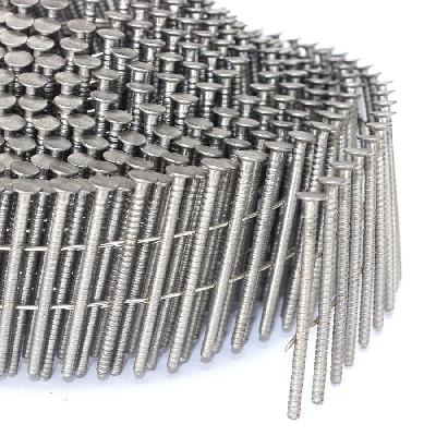 Stainless Steel Nail