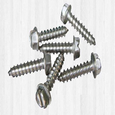 Mild Steel Screws