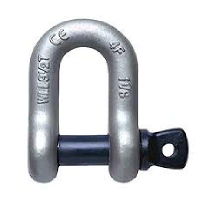 25 Ton D-Shackle Nut Bolt