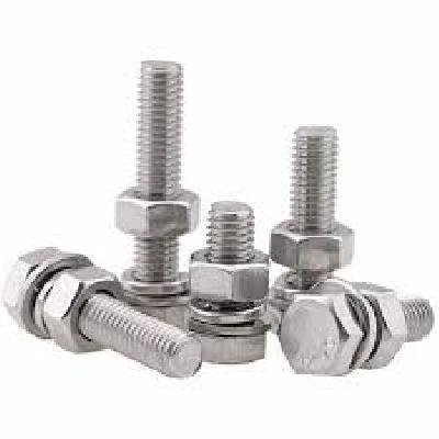 SS Fasteners