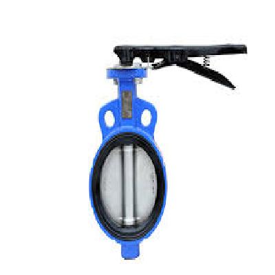 CI Butterfly Valves