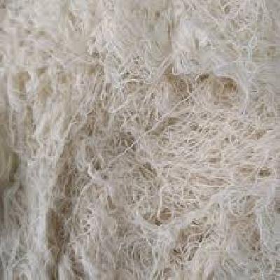 Cotton Thread Waste
