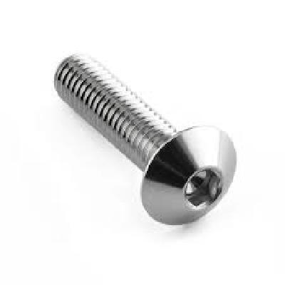 SS Dome Head Bolts