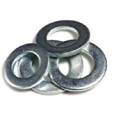 SS Plain Washer