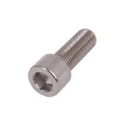 SS Socket Head Bolts