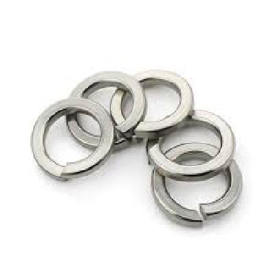 SS Spring Washer