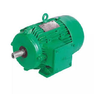 TEFC Induction Motor