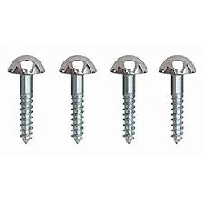 Mirror Screws