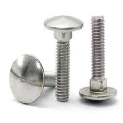 SS Carriage Bolt