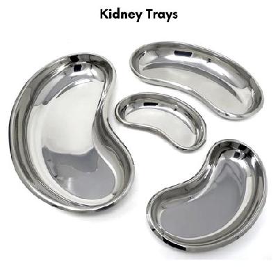SS Kidney Tray