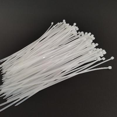 750mm Nylon Cable Tie 100pcs White