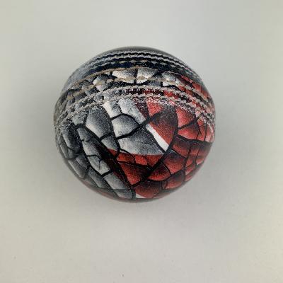 Leather Cricket Ball Printing
