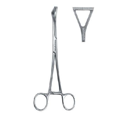Duval Lung Forcep