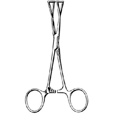 Duval Lung Forcep Atraumatic Jaws