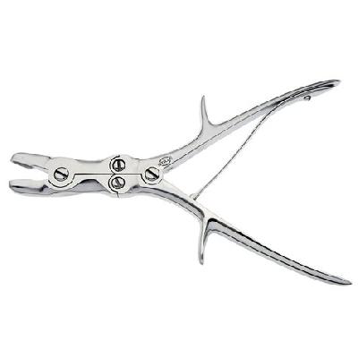 Stille Leur Bone Rongeur