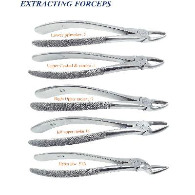 Dental Extracting Forceps