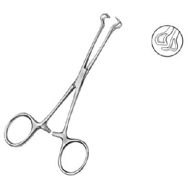Babcock Tissue Extraction Forcep