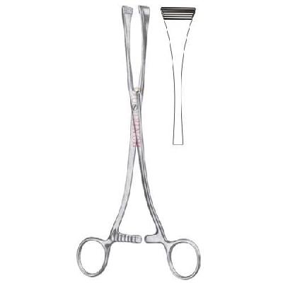 Green Armytage Forcep