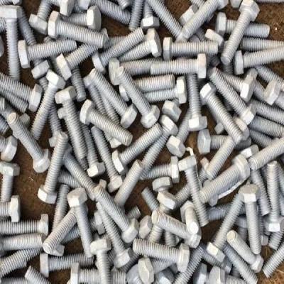 Hot Dip And Zinc Electro Galvanized Square Bolt