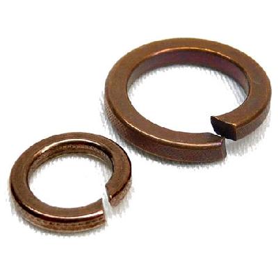 Phosphorus Bronze Spring Washer