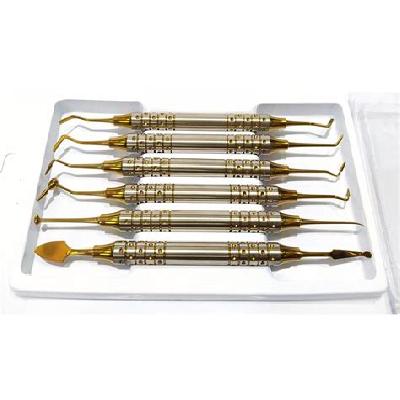 6 Pcs Dental Probe Sets