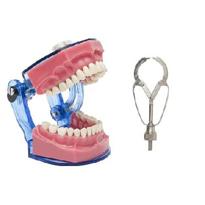Matrix Retainer