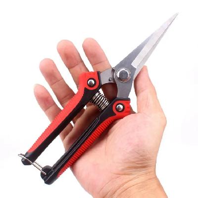 Garden Scissors