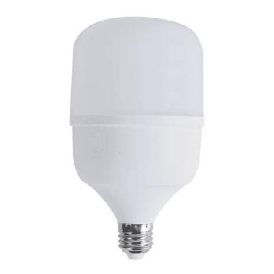 10W LED T Bulb