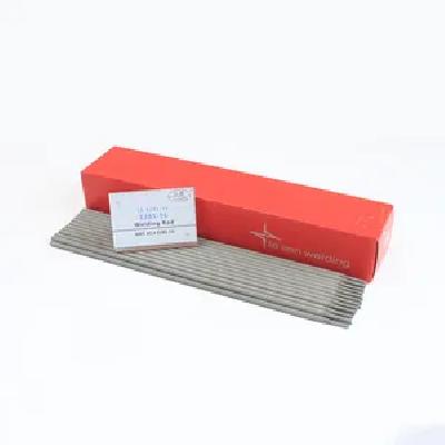 SS Welding Electrode