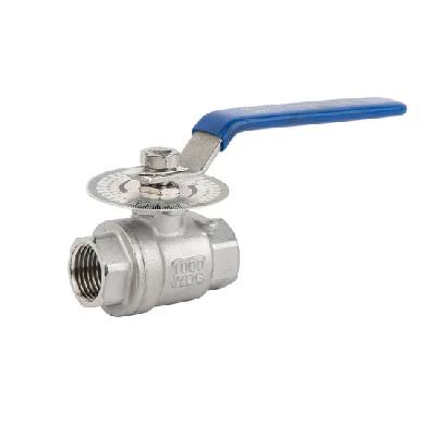 SS Valve