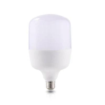 Liliput LED Light