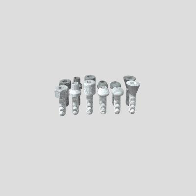 Allen 3D Model Screw