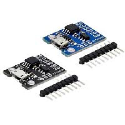 ATMEL Mini Development Board