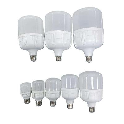 10 Watt Led T Bulb