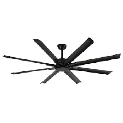 BLDC FAN WITH REMOTE