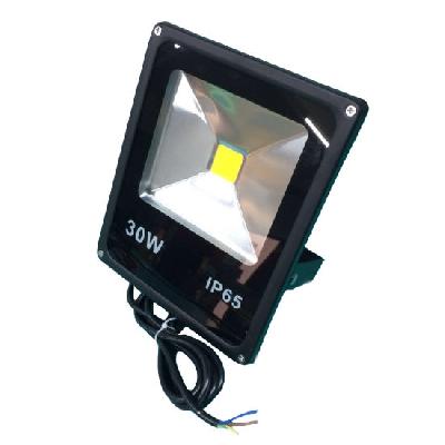 Flood Light Module