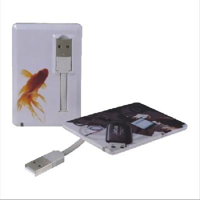 Credit Card Shape Usb Pen Drive
