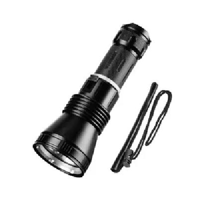 LED Torch Lamp
