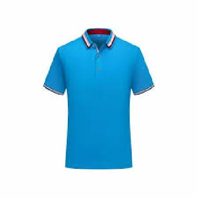 Polo Double Tipping T Shirts