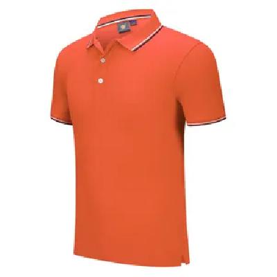 Polo T Shirt 240 GSM